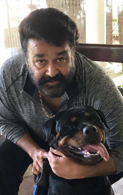Mohanlal introduces new member of the family - Spike