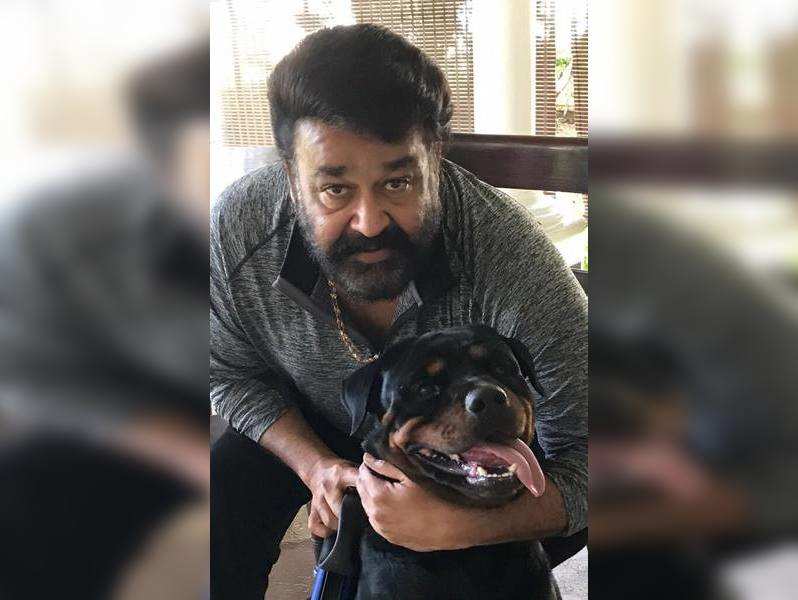 mohanlal: Mohanlal introduces new member of the family - Spike