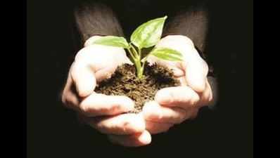 2 lakh trees to be planted in TOI Green Drive