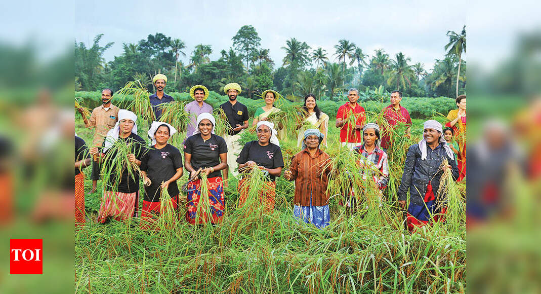 A Harvest Festival Embracing Nature Kochi News Times Of India