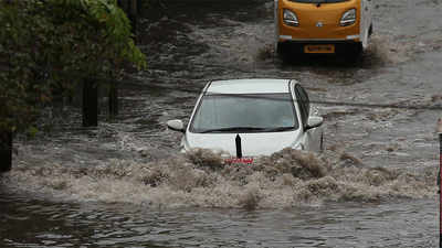 Torrential rains continue to lash Kerala; schools, colleges remain shut