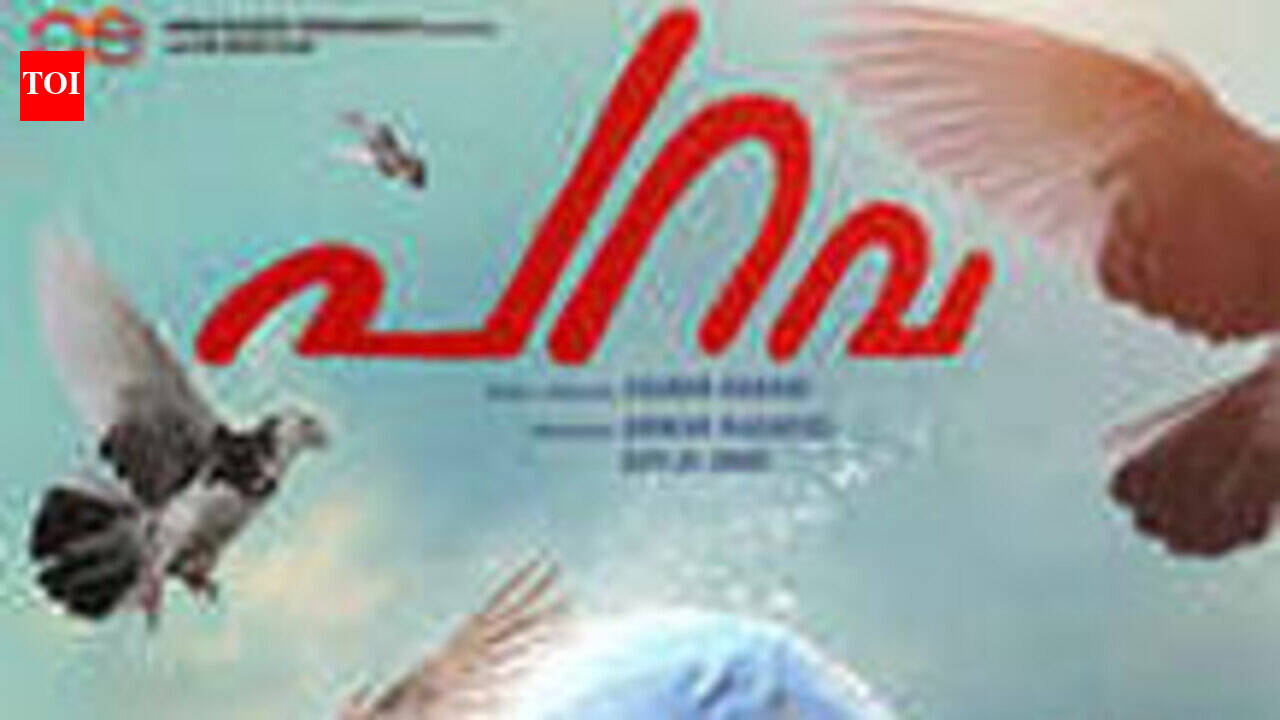 Parava Movie Review {3/5}: Parava can offer you a good movie watching ...