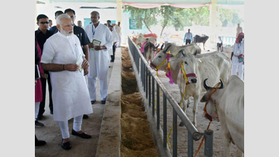 Village that gave 'shelter' to Humayun plays host to PM Modi