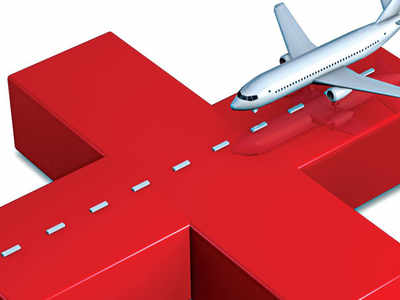 Lohegaon airport authorities refute Air India's bird-hit claim