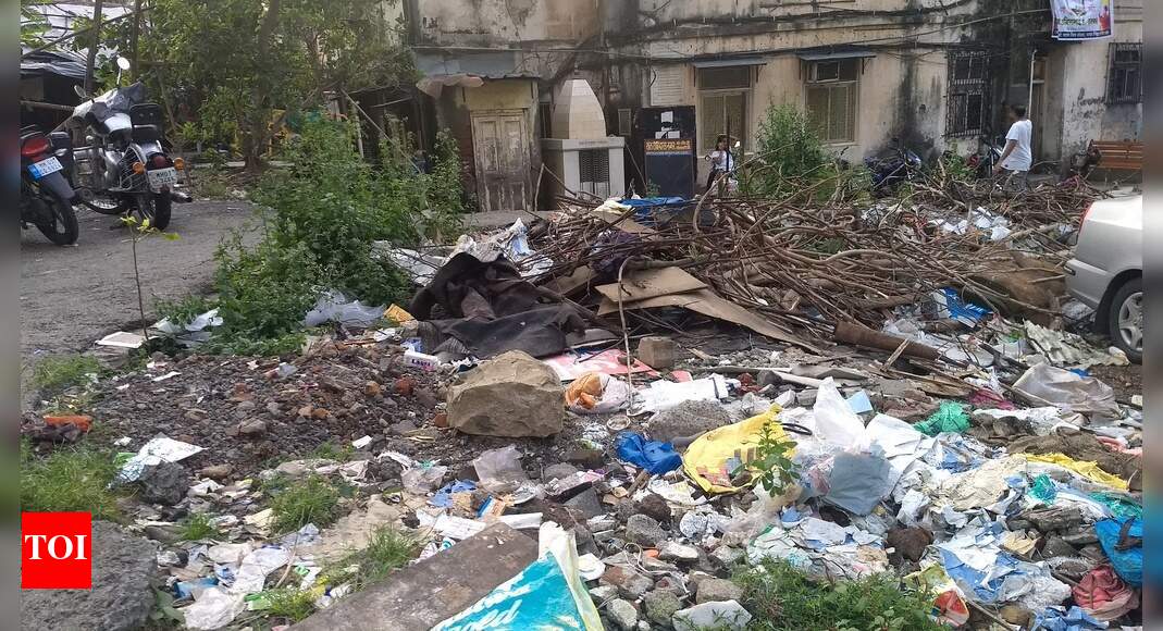 Open garbage dump Times of India