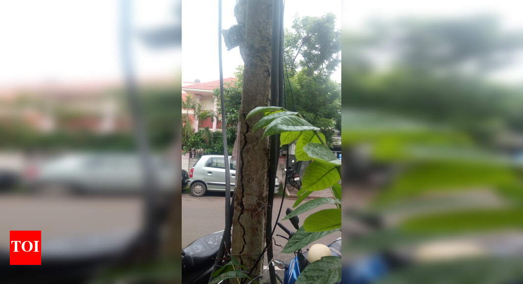 Electric pole or Death pole? - Times of India