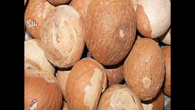86,000 kg betel nuts worth Rs 2.6 crore seized in Assam