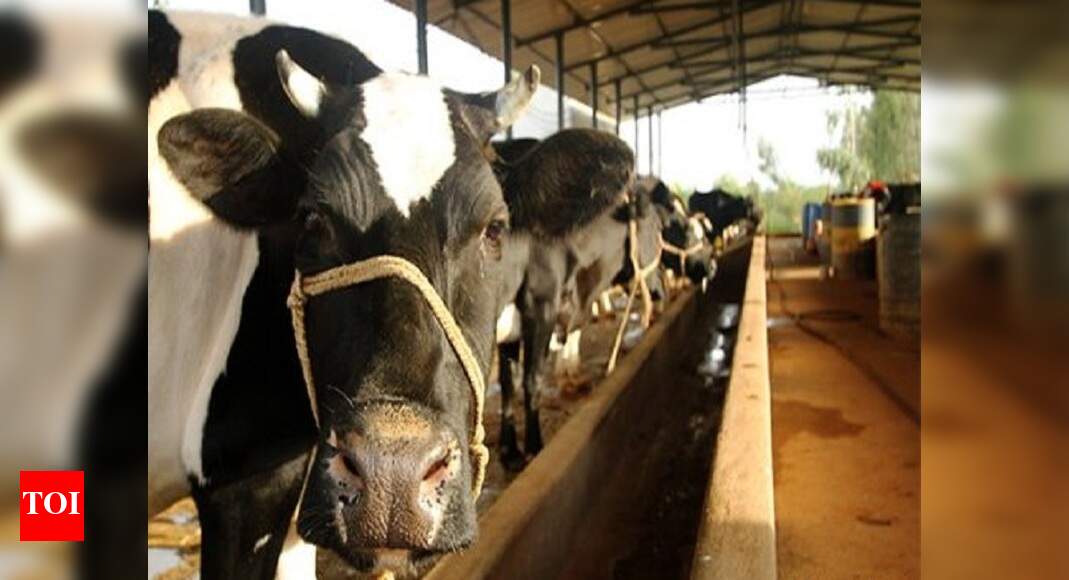 Five milk dairies in Karnataka all set to receive Milk Mark from NDDB