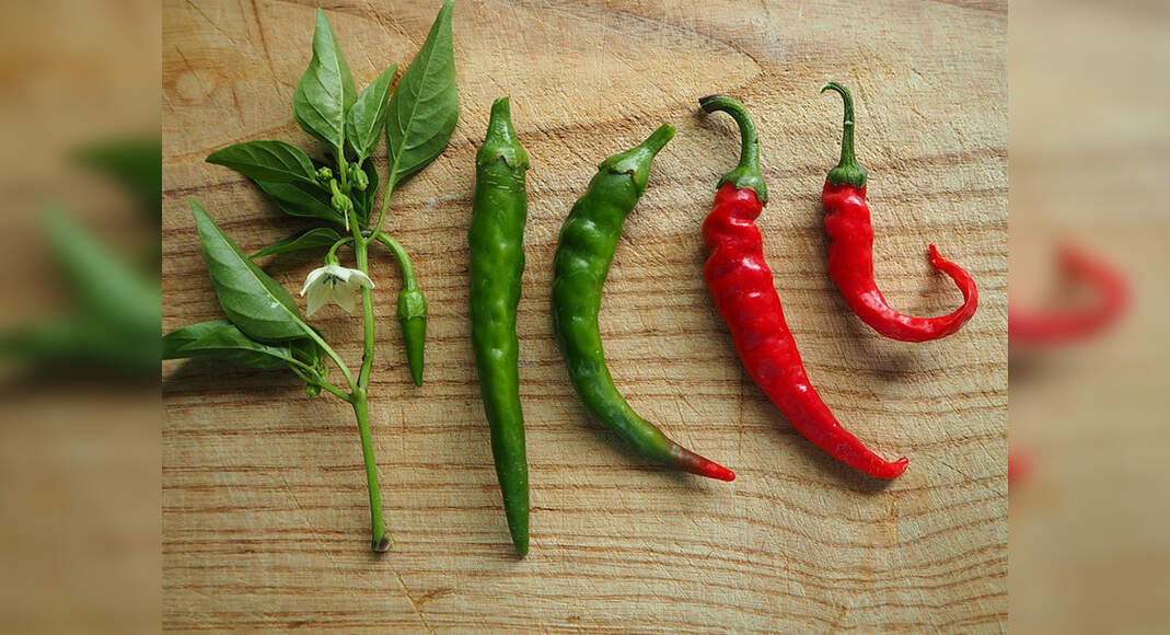 10 Reasons why green chillies are good for your health