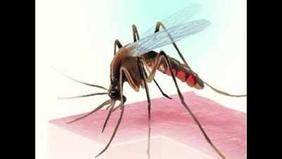 MP's Sheopur district in grip of malaria