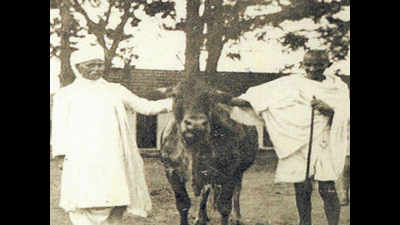 Mahatma's enduring connection with Bengaluru