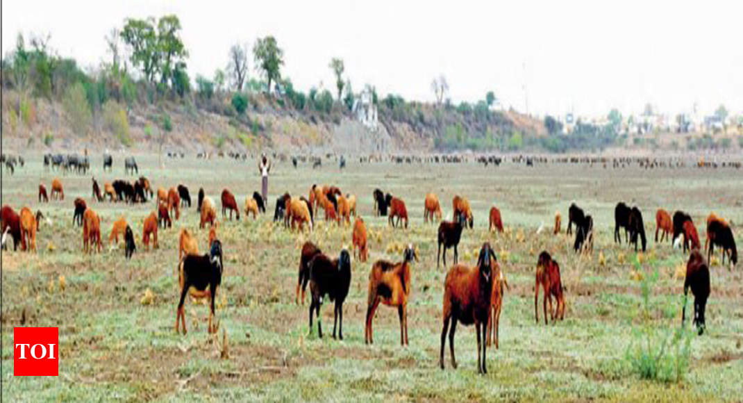 Constructions Eat Into Ibrahimpatnam Lake 