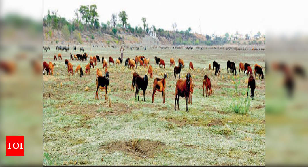 Constructions eat into Ibrahimpatnam Lake | Hyderabad News - Times of India