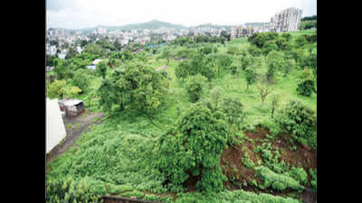 State mulls amendment to new land acquisition act