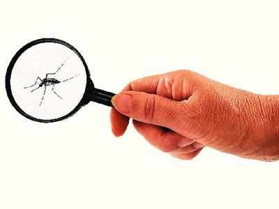 Malaria: Signs and symptoms to watch for