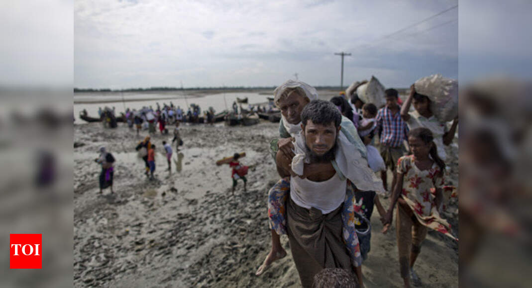 Rohingya influx: BSF identifies 140 vulnerable spots along India ...