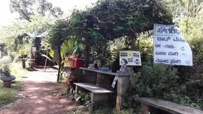 Pick fruits for your juice at this highway eatery