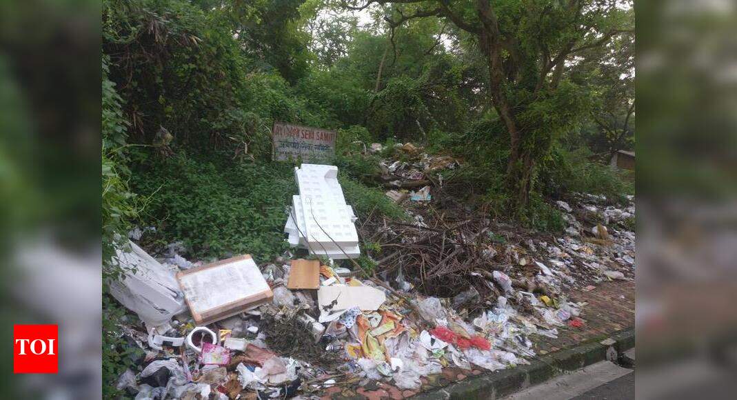 Waste management case studies image