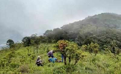 Hunting still a pastime in Western Ghats despite ban