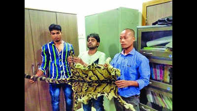 Animal skin smuggling racket busted, three held