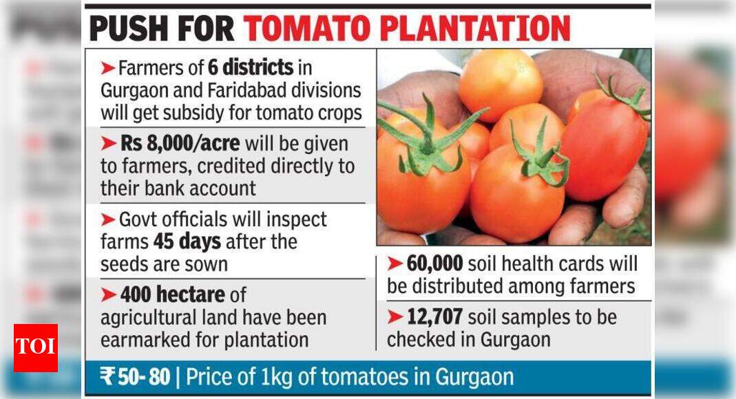 Rs 8000 Farm Subsidy Government extends Rs 8,000 farm subsidy to