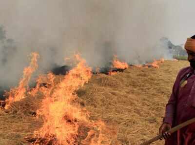 NGT asks states to be vigilant about crop burning