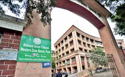 Pune Bench Of Ngt Has Jurisdiction Over Goa Bombay High Court