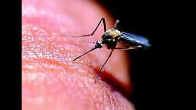 Dengue claims another life
