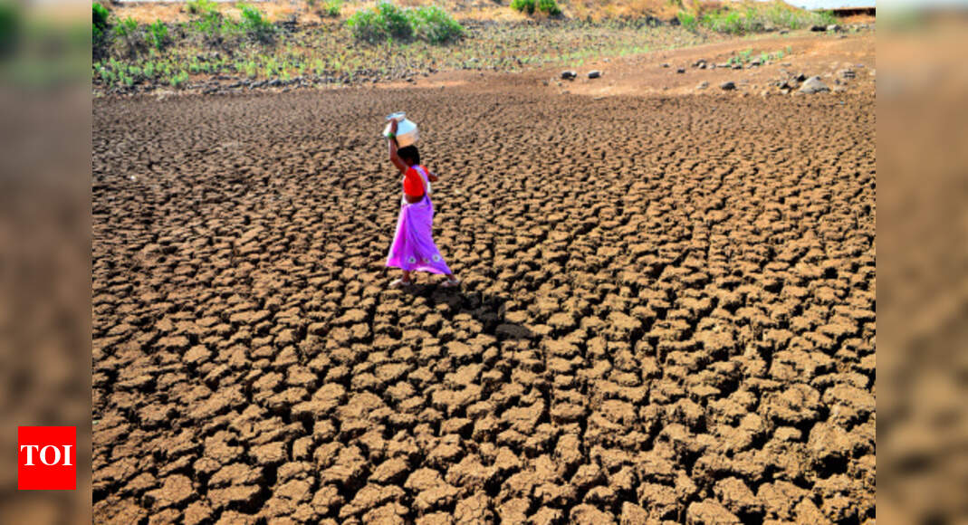 UP staring at drought: Chief Secretary | Lucknow News - Times of India