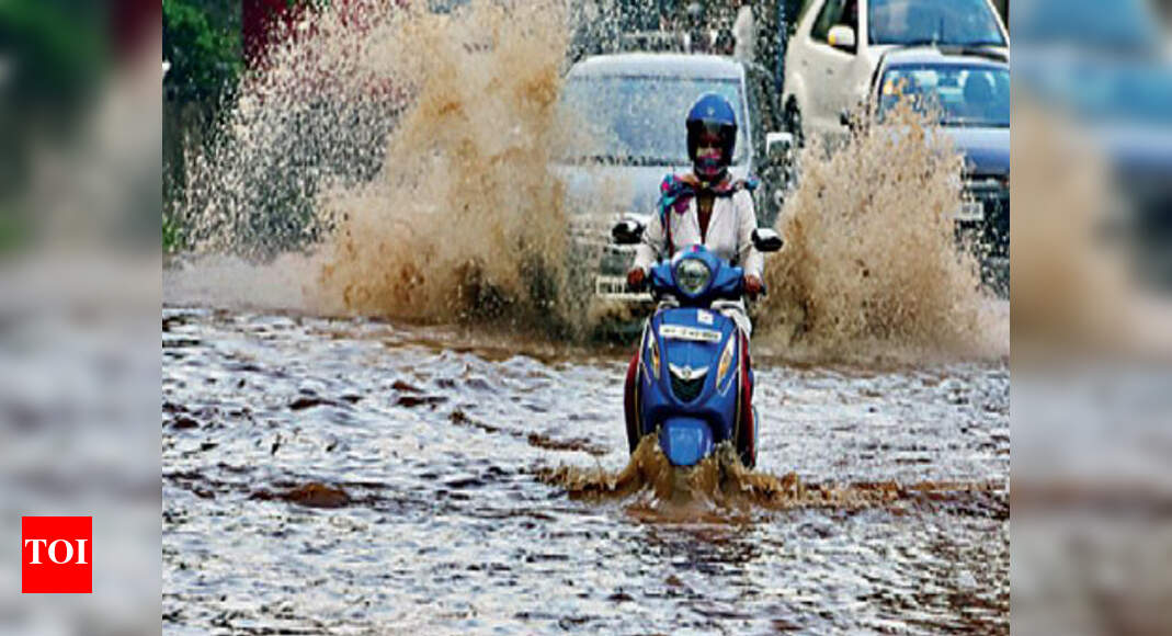 Farmers fear 70% crop loss after week of heavy rain | Pune News - Times ...