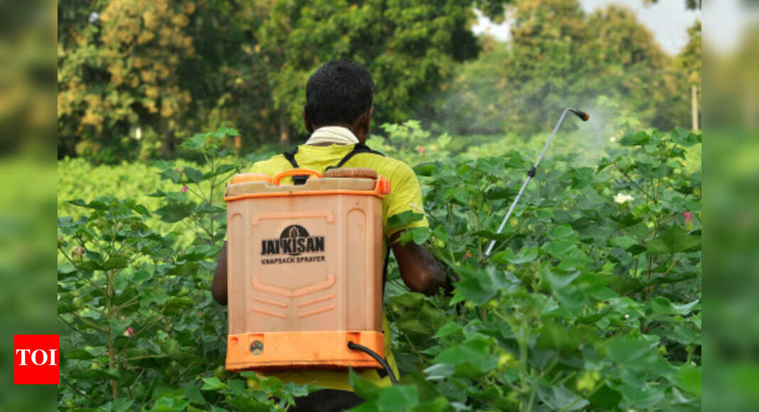 'MNCs sell pesticides without safety info' | India News - Times of India
