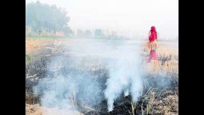 547 crop fire cases in a day after Punjab CM's no penalty talk