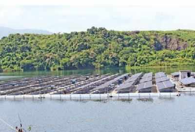 India's largest floating solar plant ready