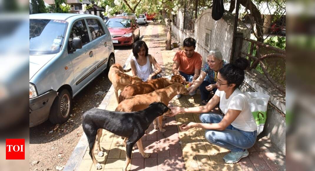 A time for celebration, not cruelty | Pune News - Times of India A time for celebration, not cruelty | Pune News - Times of India