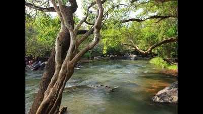 Greens decry move to allow unrestricted tourism at Kuruva islets