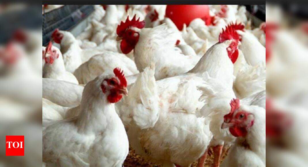 Chennai Corporation confiscates 15kg meat on Mahaveer Nirvan Day