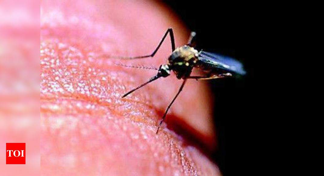 Malaria: New kit may detect malaria in secs, for just Rs 10 | Kolkata ...