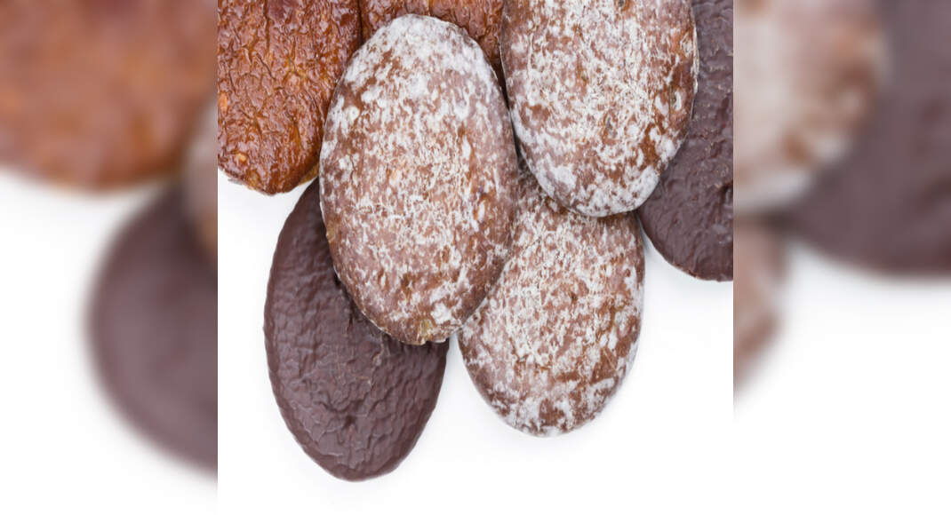 Chocolate Gingerbread Cookies Recipe: How to Make Chocolate Gingerbread Cookies Recipe | Homemade Ch