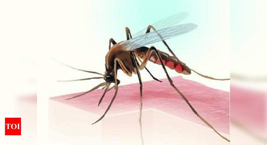 254 dengue cases in child hospital this year, health dept continues to ...