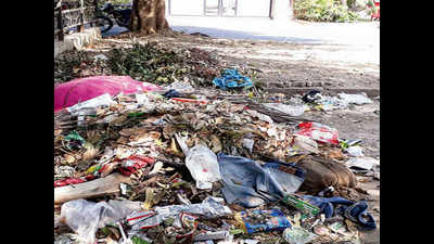 Garbage dumped near Sector 18 park raises a stink