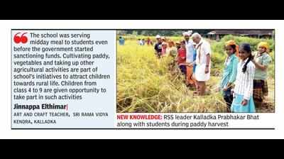 Kalladka school students harvest paddy, to use it for midday meal