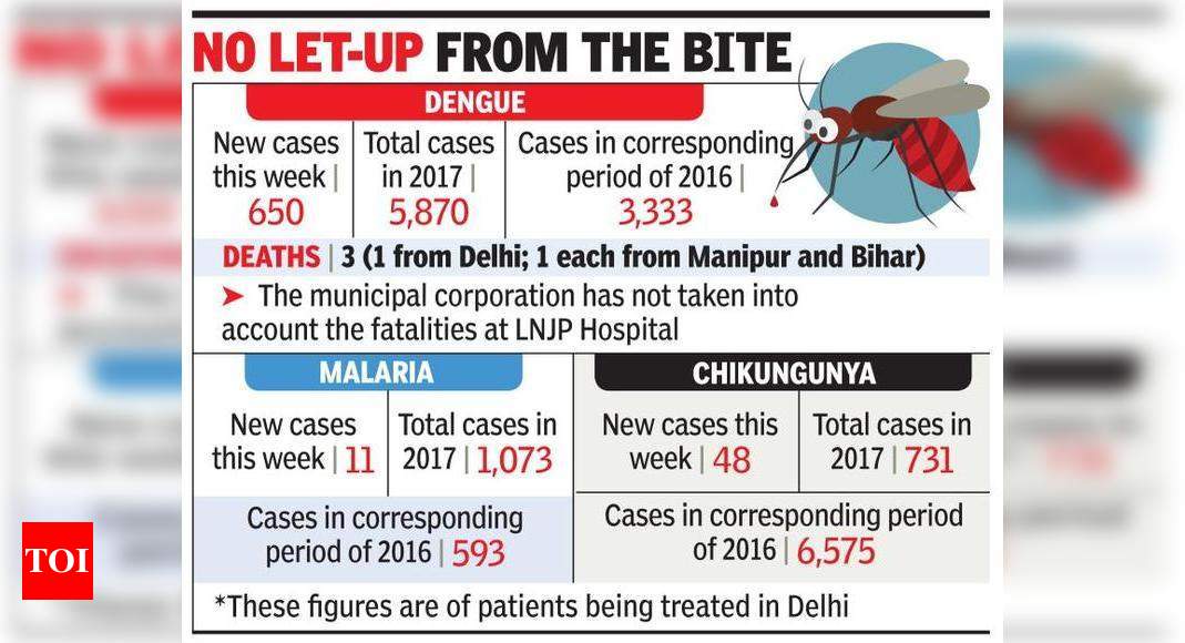 650 dengue cases in a week Delhi News Times of India