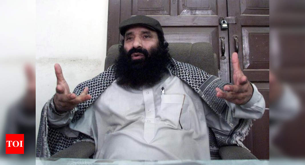 Syed Salahuddin Terror Funding Case Nia Arrests Hizb Chief Syed Salahuddins Son India News 