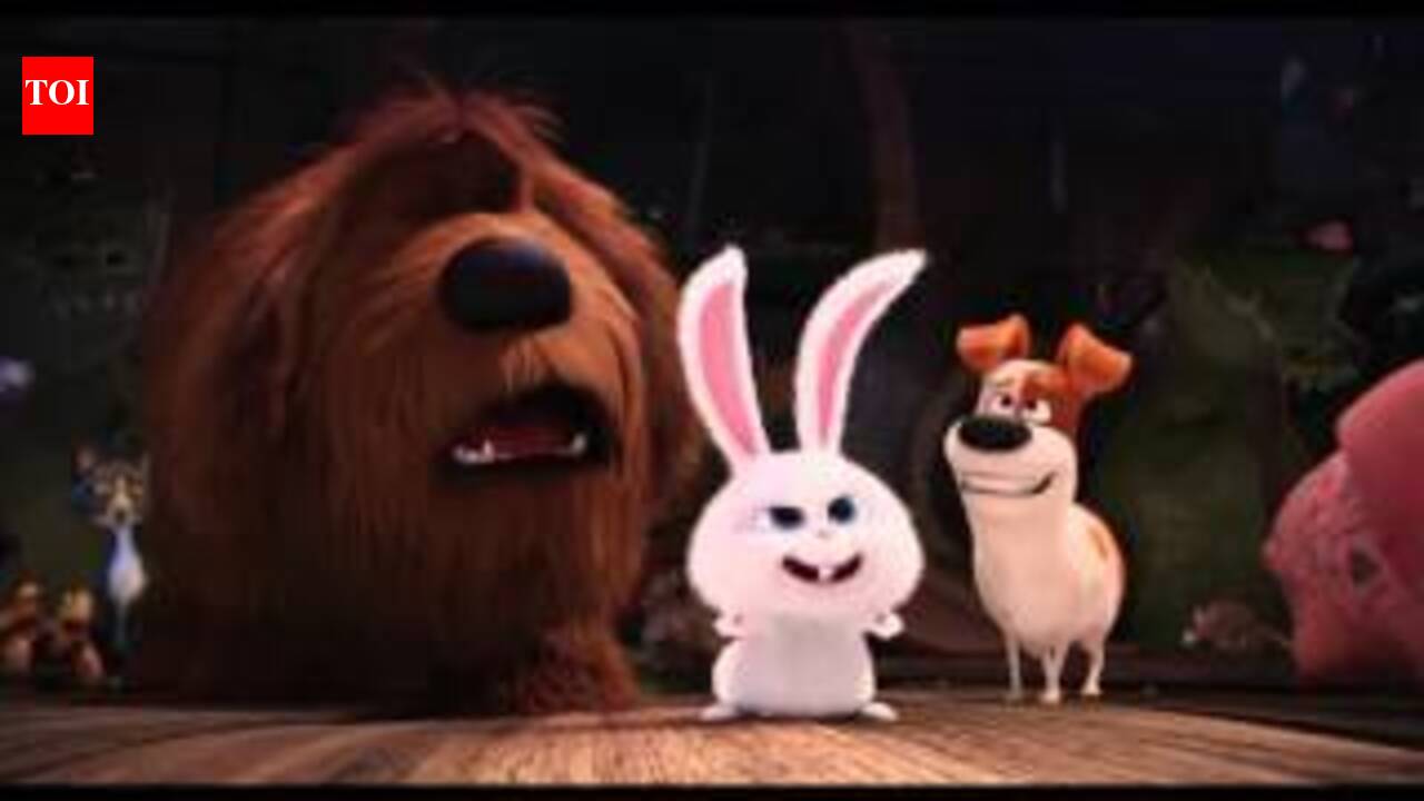 The Secret Life Of Pets Video -11