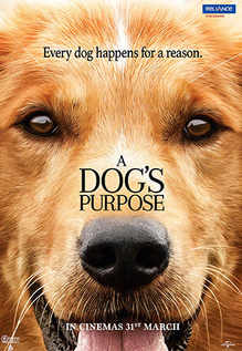 its a dogs purpose