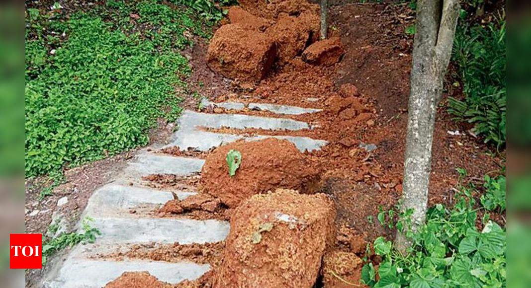 Portion of cliff collapses at Varkala | Thiruvananthapuram News - Times ...