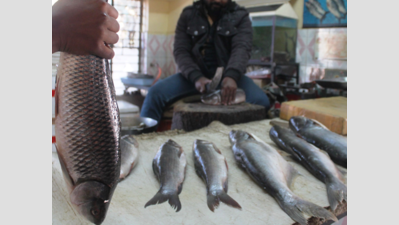 Vinod Palyekar wants fish export ban to give cheap fish to Goans