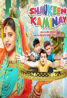 Shaukeen Kaminay