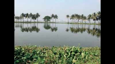 Not funding any project in wetland: Asian Development Bank