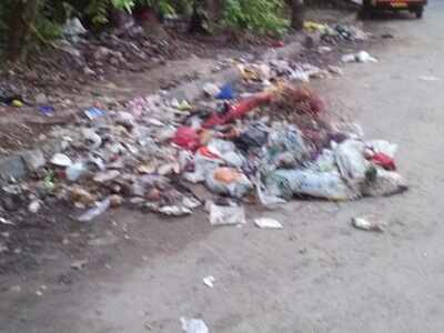Accumulated garbage uncleared - Times of India